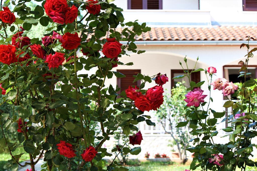 Holiday Home Magnolia Tar-Vabriga Extérieur photo